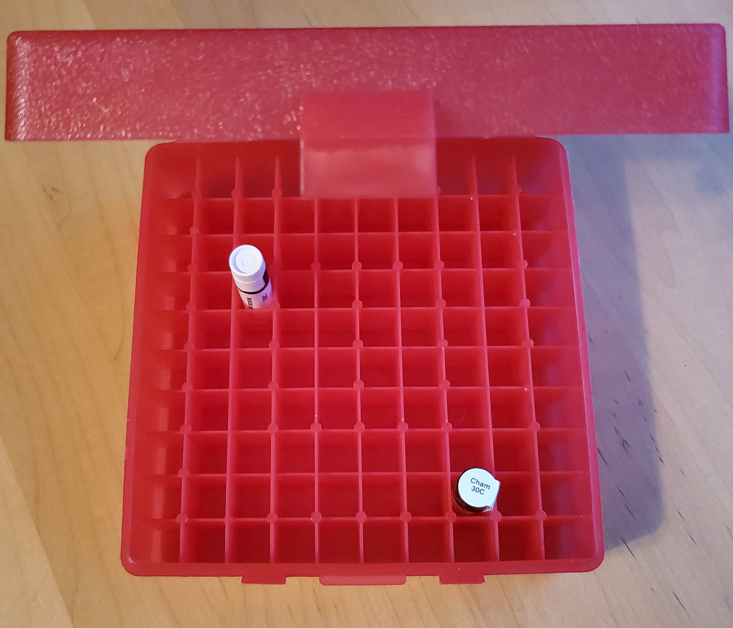 Storage Case 100